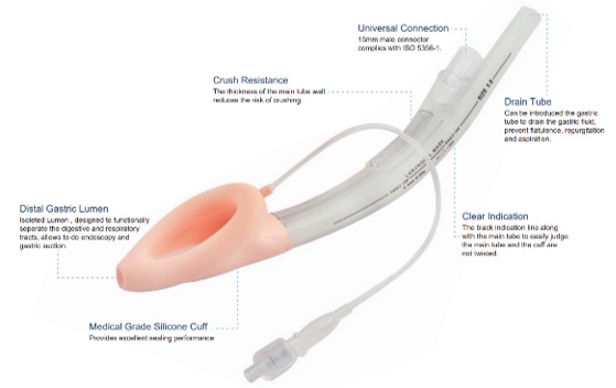 Double Lumen Laryngeal Mask Airway