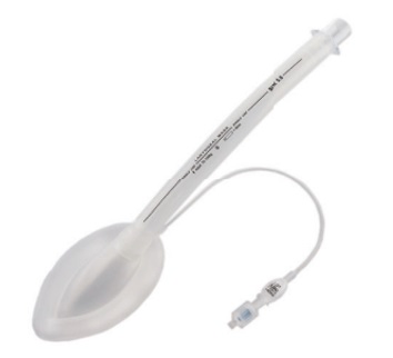 Laryngeal Mask Airway